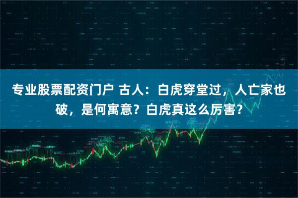 专业股票配资门户 古人：白虎穿堂过，人亡家也破，是何寓意？白虎真这么厉害？